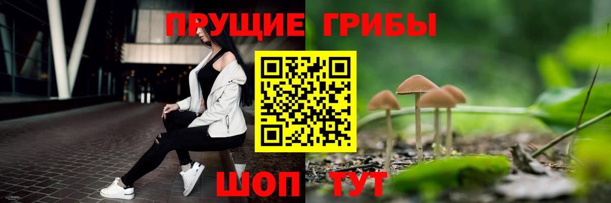 Псилоцибиновые грибы MAGIC MUSHROOMS  Вход с VPN  Псилоцибиновые грибы ЛСД  хочу наркоту  Междуреченск 